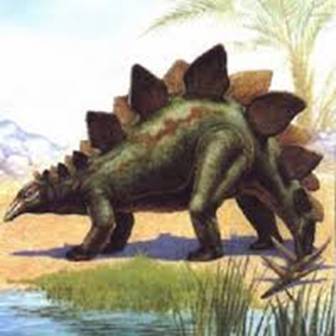 stegosaurus